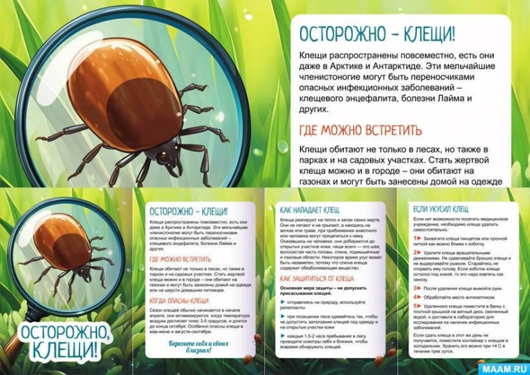 Осторожно клещи!.